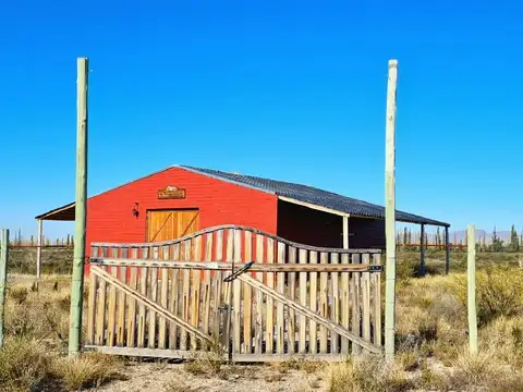 La Loma 100