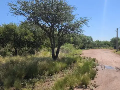 Lote de 1000 m2 en Carpintería