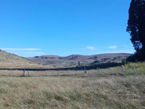 Campo en venta - 4.603 Hectáreas - Pilcaniyeu
