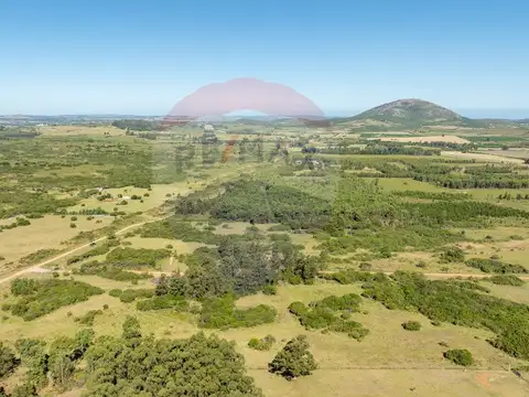 Chacra en venta Las Flores - Lanzamiento