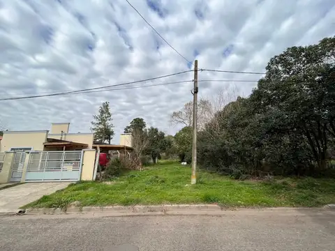 LOTE EN CENTRO LOS CARDALES