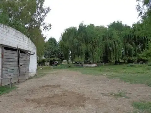 General Conesa, Río Negro 100