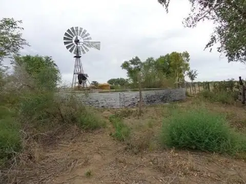 General Conesa, Río Negro 100