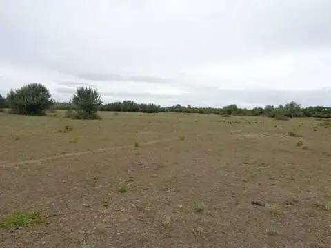 Casa Campo  en Venta en General Conesa,  Rio Negro, Patagonia - BLA6156_LP573644_5