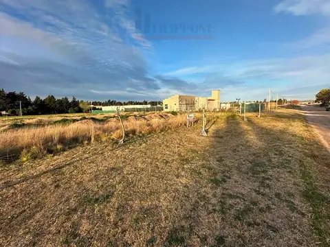 Terreno en Venta 39  mts Frente