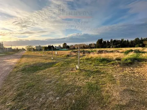 Terreno en Venta en Bahia Blanca, USD 42.000