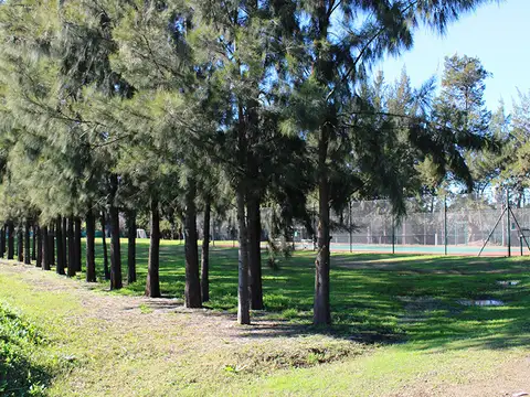 Terreno en Venta de 552,0 m2
