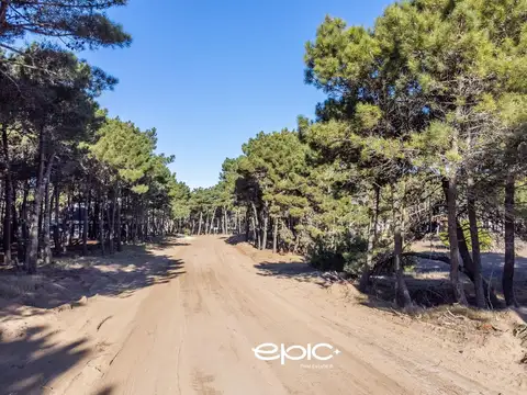 Terreno en Venta de 1000,0 m2