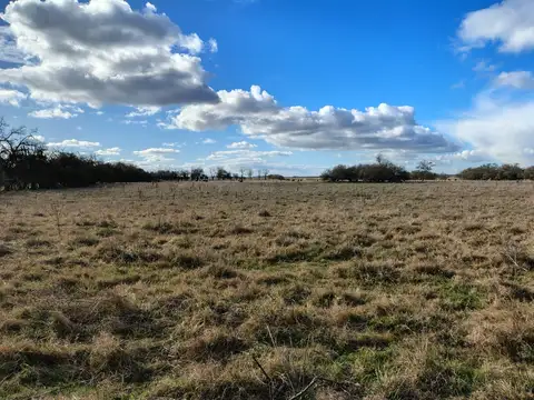 Venta Campo Dolores, Buenos Aires - 1300 Has - Campo de Cria / Recría