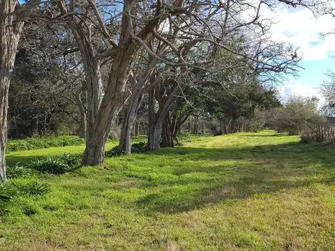 Campo en Venta de 1.300  ha