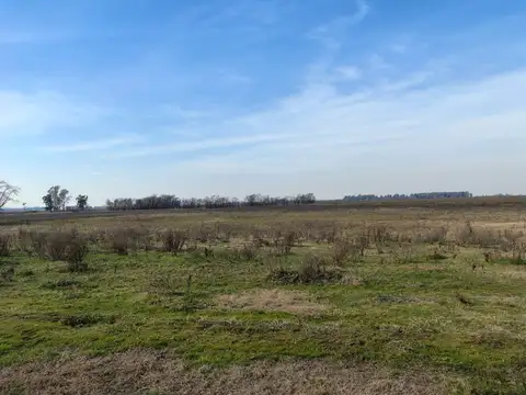 Campo en Venta Cría