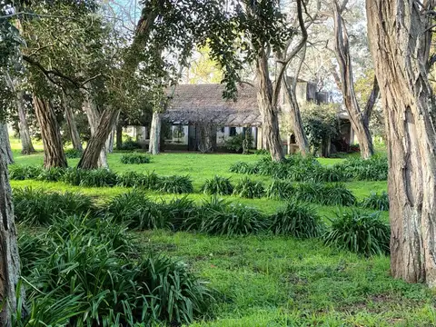 Campo en Venta de 1.300  ha