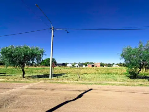 lote ciento cinco de la manzanza diecisiete 100