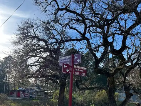 Ruta 1, KM 16 (calle Las Acacias - ex calle 82). 100