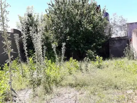 Terreno en Alquiler en Sarmiento, $ 250.000