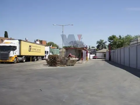 DRAGO, LUIS MARIA 5600