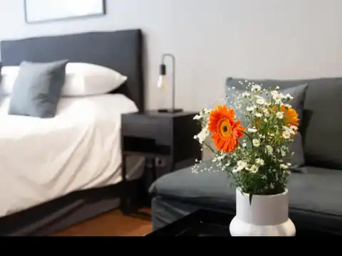 Departamento en Alquiler Permite mascota