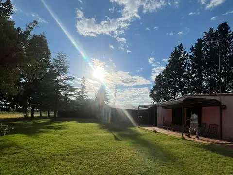 VENTA FINCA EN LUJAN DE CUYO