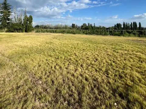 El REMANSO, UGARTECHE, LUJAN DE CUYO