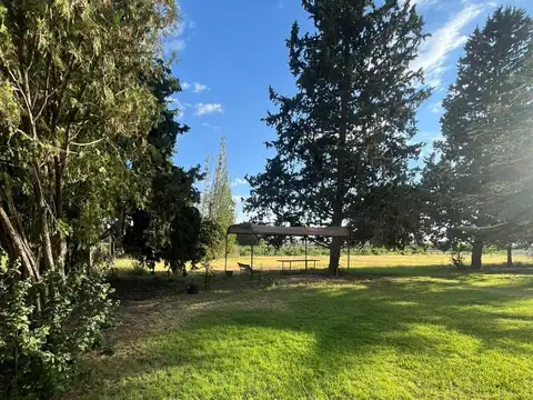 VENTA FINCA EN LUJAN DE CUYO