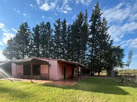 VENTA FINCA EN LUJAN DE CUYO