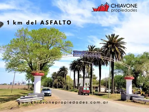 Campo en Venta Agrícola