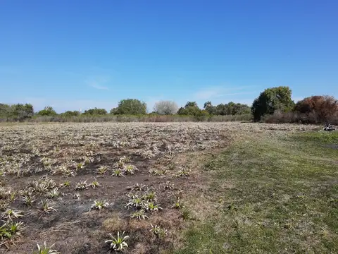 13.648 m2 excelente ubicación acceso a C. del Uruguay ER