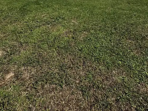 Terreno en Venta 12  mts Frente