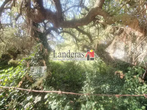 Terreno en Venta 13  mts Frente