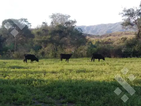 Terreno en Venta en La Merced, USD 700.000