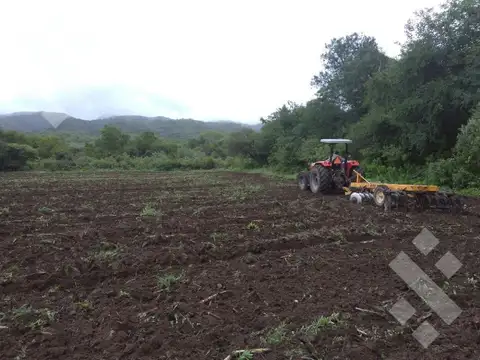 Terreno en Venta de 50000,0 m2