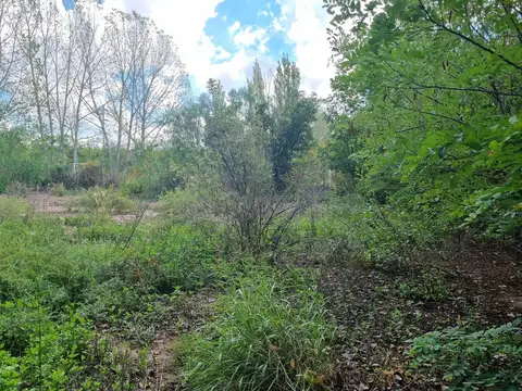 Terreno en Venta de 1000,0 m2