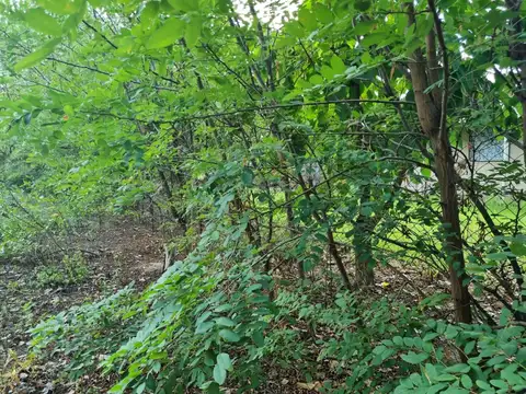 Terreno en Venta 33  mts Fondo