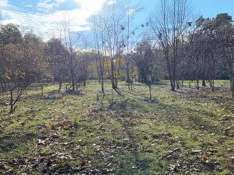 Terreno en Venta de 6700,0 m2