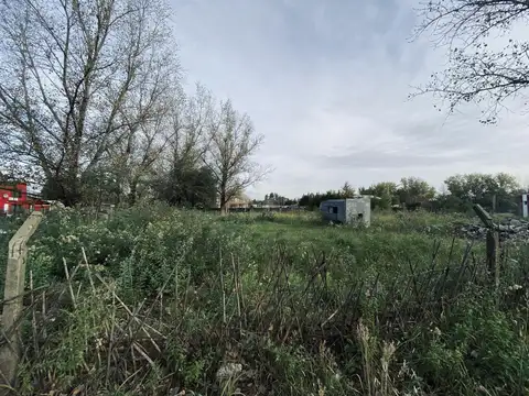 Terreno en Venta 50  mts Fondo