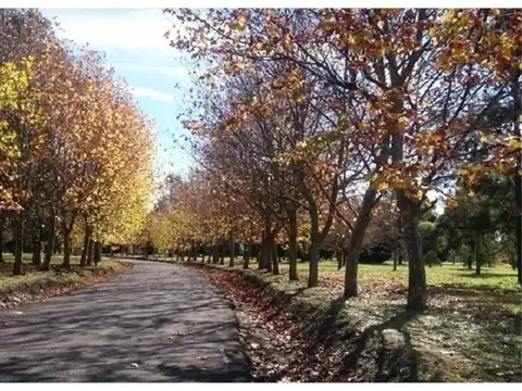 Terreno en Venta de 1392,0 m2
