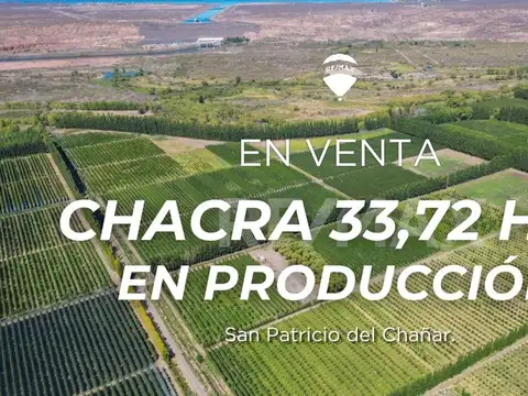 VENTA CHACRA 33,72 HTAS EN PRODUCCION