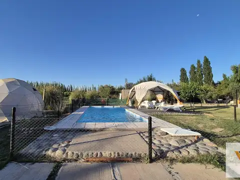 Los Claveles - San Rafael