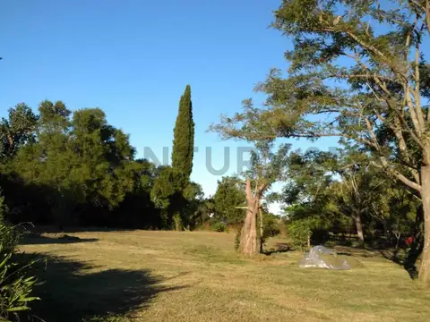 POBLET LOTE EN VENTA