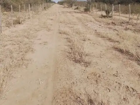Campo agrícola de 2.000 HAS en Pellegrini, Santiago del Estero