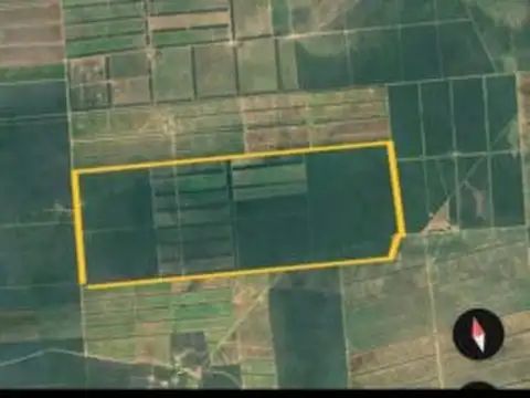 Campo agrícola de 2.000 HAS en Pellegrini, Santiago del Estero