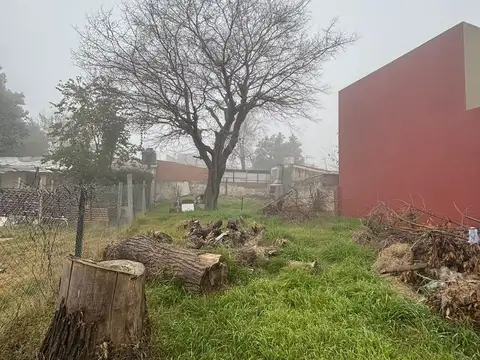 (LEG-1687) OLIVER AL 700 - 3 LOCALES  + FONDO LIBRE - 10 X 45