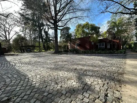 JUANA AZURDUY 1300