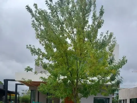 Venta Casa en Araucarias - Puertos del Lago / Escobar