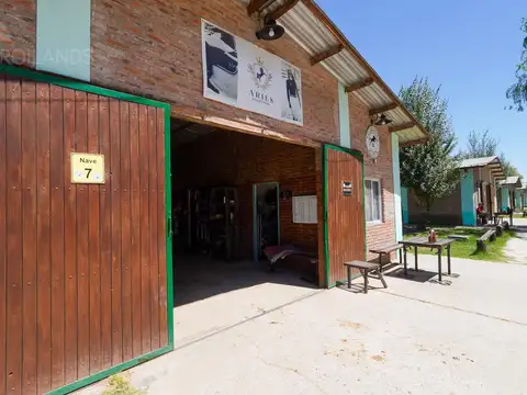 Perito Moreno al 1700