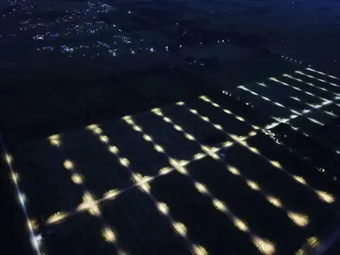 Terreno - Venta - , Carlos Spegazzini