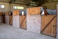 Actividades deportivas futbol, equitacion en el Barrio de chacras, Chacras De Abbott