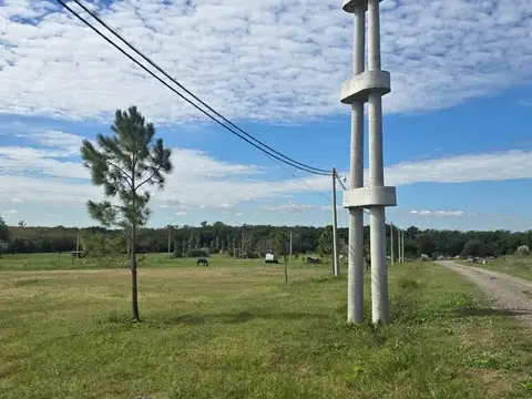 RUTA 11