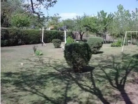 Los Eucaliptus 800