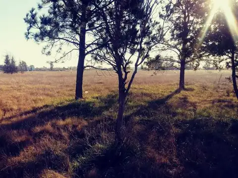 Terreno en Venta 50  mts Fondo